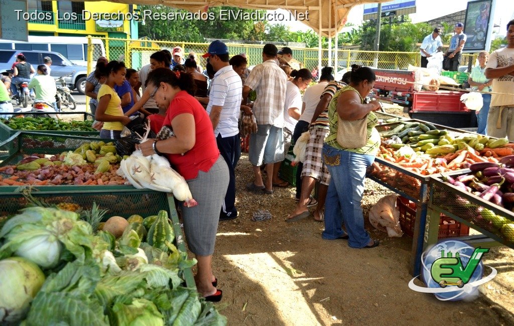 Imagenes de la segunda Feria Agropecuaria de Moca